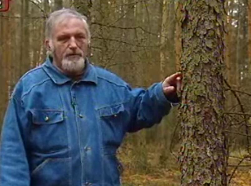 Bylinář Pavel Váňa využití hub stromů a bylin v zimě