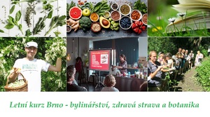 Velký letní kurz bylinářství zdravé vaření botanika Mlčoch Švédová Sedlák