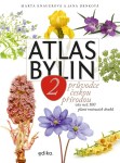 atlas-bylin-2-dil-1